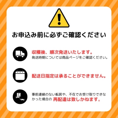【2026年7月下旬頃発送】ロイシーコーン 20本【たかだ畑】 1018-002