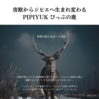 ピリ辛おつまみ エゾ鹿スライスジャーキー 40g×2袋【PIPIYUK】