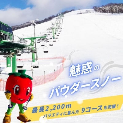 2026～2027 ぴっぷスキー場1日券(大人) 1455-006