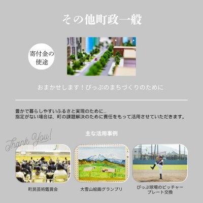 【返礼品なし】北海道比布町への寄付