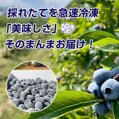 【先行受付:8月中旬以降発送 】余市産 冷凍ブルーベリー 残留農薬検査済み_ Y155-0002