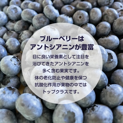 【先行受付:8月中旬以降発送 】余市産 冷凍ブルーベリー 残留農薬検査済み_ Y155-0002