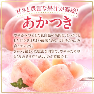 【先行受付8月中旬以降発送】余市産「桃」 2kg【余市ふるさと納税推進センター】_Y160-0002