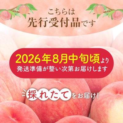 【先行受付8月中旬以降発送】余市産「桃」 2kg【余市ふるさと納税推進センター】_Y160-0002