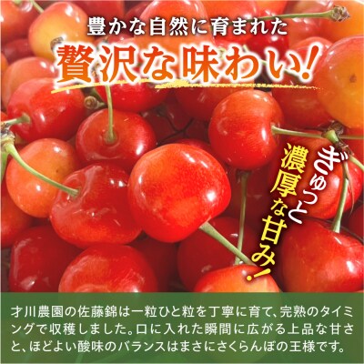 【先行受付:6月下旬以降発送】北海道余市産 佐藤錦 720g L～2Lサイズ_Y168-0001