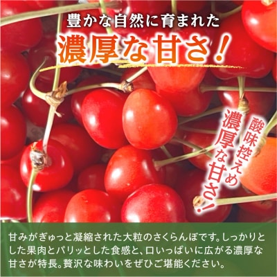 【先行受付:7月上旬以降発送】北海道余市産 紅秀峰 720g L～2Lサイズ_Y168-0002