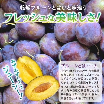 【先行受付:9月上旬以降発送】余市産サンプルーン 1.6kg 400g×4パック_Y168-0003