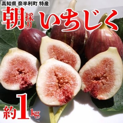 いちじく　 116022　