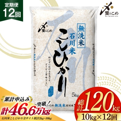 米 定期便 無洗米 石川米 こしひかり 10kg ( 5kg 2袋) 12回 [38601400]
