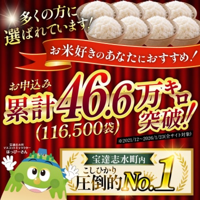 米 定期便 無洗米 石川米 こしひかり 10kg ( 5kg 2袋) 12回 [38601400]
