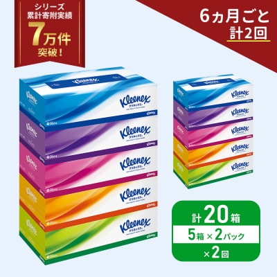 定期便 ティッシュ クリネックス ティシュー 5箱入×2P《計2回》[No.5704-1036]