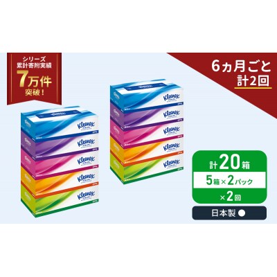 定期便 ティッシュ クリネックス ティシュー 5箱入×2P《計2回》[No.5704-1036]