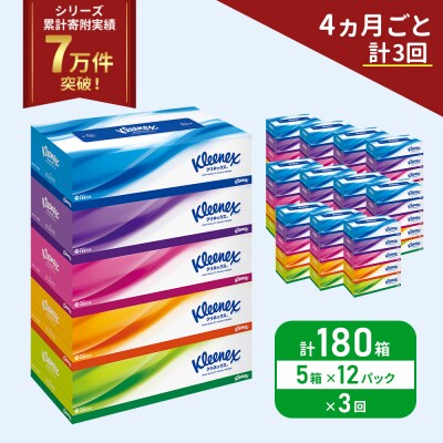 定期便 ティッシュ クリネックス ティシュー(5箱入×12P)《計3回》[No.5704-1043]