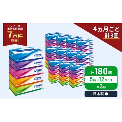 定期便 ティッシュ クリネックス ティシュー(5箱入×12P)《計3回》[No.5704-1043]