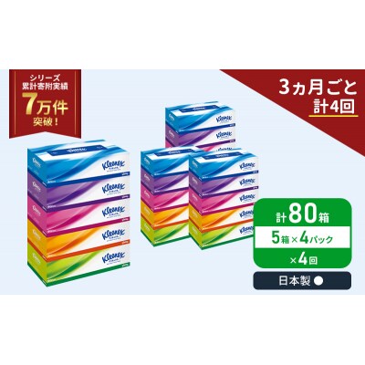 定期便 ティッシュ クリネックス ティシュー 5箱入×4P《計4回》[No.5704-1045]