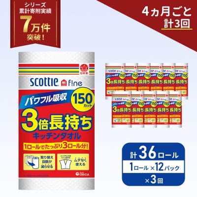 定期便 キッチンペーパー 12P入 キッチンタオル スコッティ《計3回》[No.5704-1099]