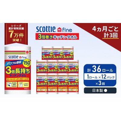 定期便 キッチンペーパー 12P入 キッチンタオル スコッティ《計3回》[No.5704-1099]