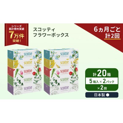 定期便 ティッシュ スコッティ  20箱 (5箱×2P)《計2 回》[No.5704-1127]