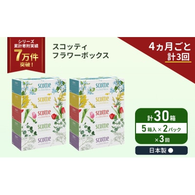 定期便 ティッシュ スコッティ 30箱 (5箱×2P)《計3回》[No.5704-1131]