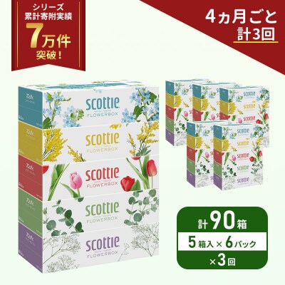 定期便 ティッシュ スコッティ  90箱 (5箱×6P)《計3回》[No.5704-1133]