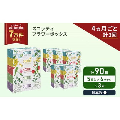 定期便 ティッシュ スコッティ  90箱 (5箱×6P)《計3回》[No.5704-1133]