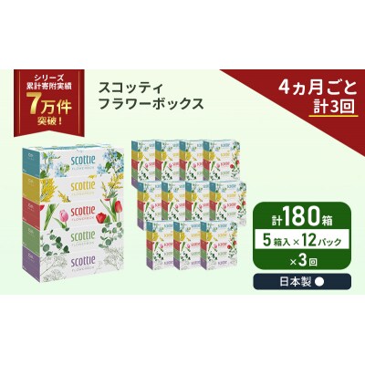 定期便 ティッシュ スコッティ  180箱 (5箱×12P)《計3回》[No.5704-1134]