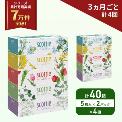 定期便 ティッシュ スコッティ40箱 (5箱×2P)《計4 回》[No.5704-1135]