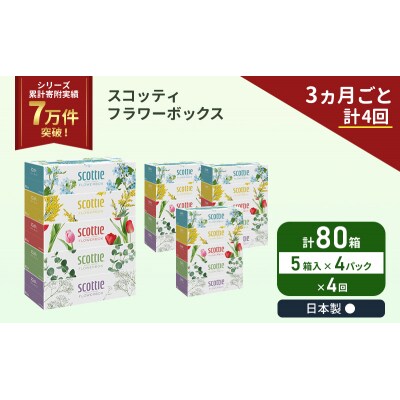 定期便 ティッシュ スコッティ80箱 (5箱×4P)《計4 回》[No.5704-1136]