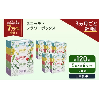 定期便 ティッシュ スコッティ 120箱 (5箱×6P)《計4 回》[No.5704-1137]