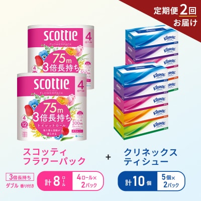 【6ヶ月ごと計2回お届け】ティッシュ+トイレットペーパー2P   [No.5704-1777]