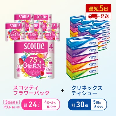 ティッシュ+トイレットペーパー6P   [No.5704-1780]