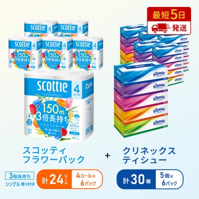 ティッシュ+トイレットペーパー6P[No.5704-1796]