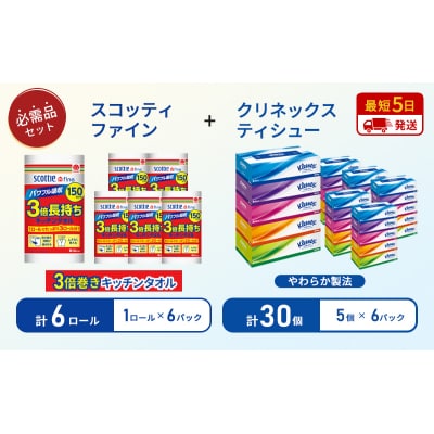 ティッシュ+キッチンペーパー6P[No.5704-1802]