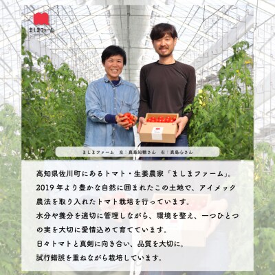 【2026年12月～発送】訳ありフルティカミニトマト <約1.2kg>フルーツトマト ましまファーム
