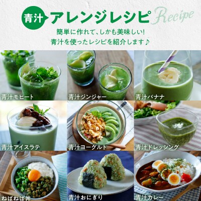 【定期便】大麦若葉粉末154包、乳酸菌+大麦若葉粉末7包<2ヶ月に1度3回送付>[027Y09-T]