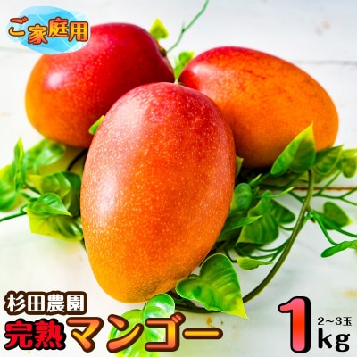 【順次発送中!】杉田農園完熟マンゴー1kg(2～3玉)訳ありご家庭用完熟マンゴー[2893]