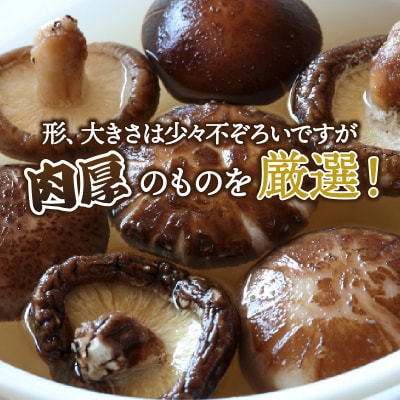 お好きな分だけ取出せる肉厚どんこ缶(詰め替え用)1袋180g_1389R-2