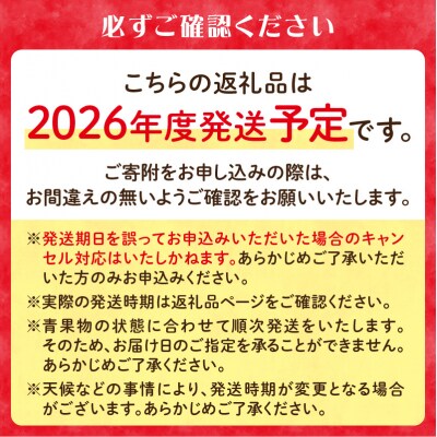 ≪先行受付≫桃とりんご好きのもりもり便【定期便全3回】 060-T04