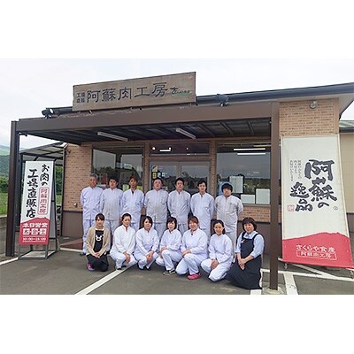 阿蘇の逸品 和牛・黒豚ハンバーグ110g×14個 約1.5kgセット