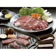 くまもと黒毛和牛　焼肉用500g(西原村)