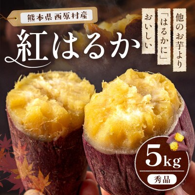 熊本県産 さつまいも 紅はるか 約5kg(西原村)
