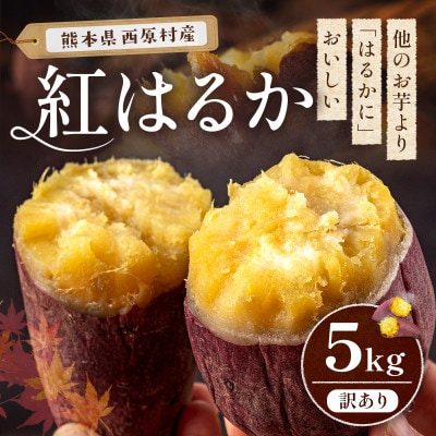 訳あり 熊本県産 さつまいも 紅はるか 5kg(西原村)