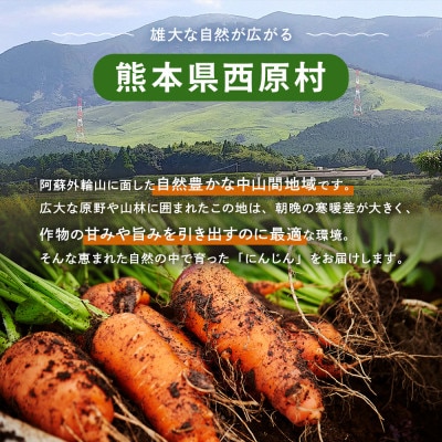 にんじん 10kg(西原村)