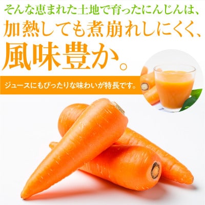 にんじん 10kg(西原村)