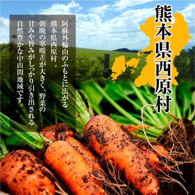 訳あり にんじん 10kg(西原村)