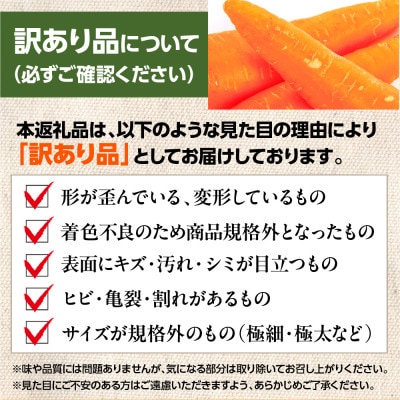 訳あり にんじん 10kg(西原村)
