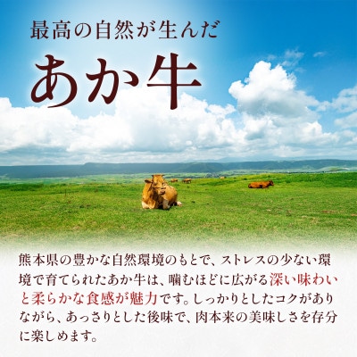 熊本県産 GI認証取得 くまもとあか牛 切り落とし 合計1kg(西原村)