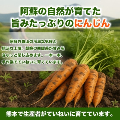 にんじん 訳あり 約10kg(西原村)