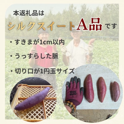 【さとふる限定】数量限定!熊本県西原村産 小城さん家のシルクスイートA品(L)約3kg