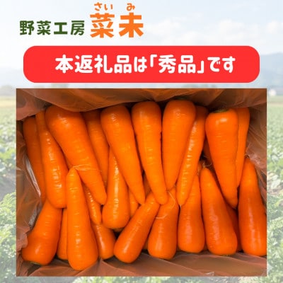 熊本県産 春にんじん(秀品)10kg 菜未ファーム(西原村)